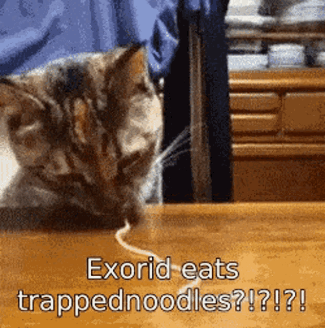 Exorid Trappednoodles GIF - Exorid Trappednoodles Eats GIFs
