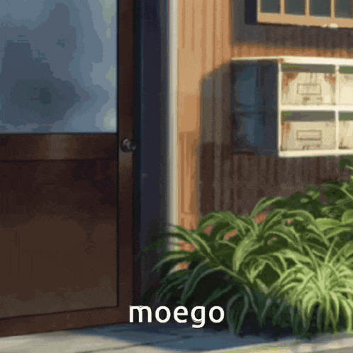 a picture of a door with the word moego on the bottom