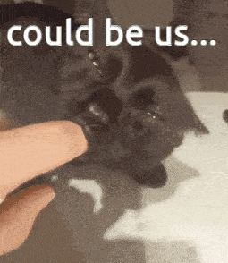 Could Be Us Cat GIF - Could Be Us Cat Suck GIFs