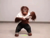 Orangutan Monkey GIF - Orangutan Monkey Shirt GIFs