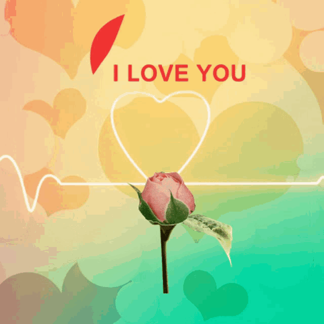 a heart that says i love you next to a pink rose