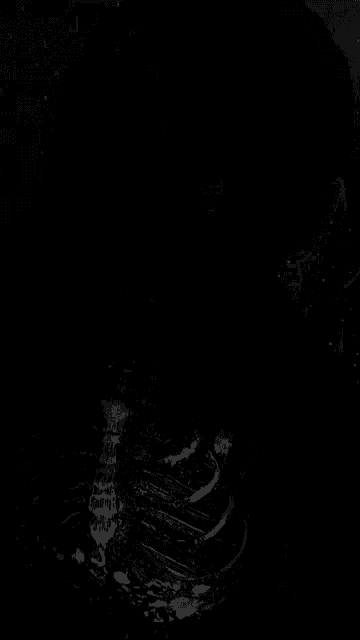 a woman wearing headphones and a black shirt with a skeleton on it
