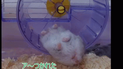 疲れた　つかれた　ハムスター GIF - Tired Hamster GIFs