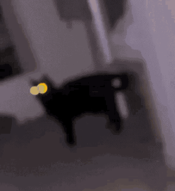 a blurry picture of a black cat with a yellow glowing eye