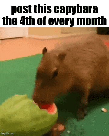 a capybara is eating a watermelon in a meme .