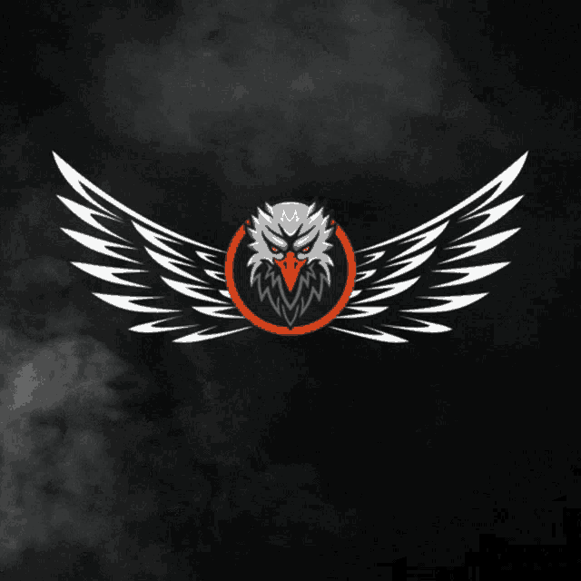 a logo of an eagle with its wings spread on a dark background