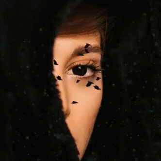 Pines I See You GIF - Pines I See You GIFs