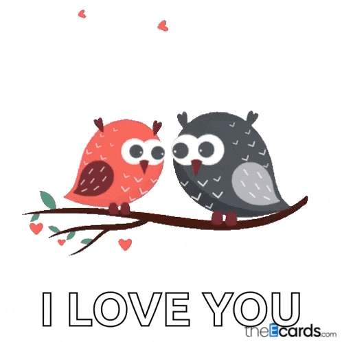 a valentine 's day card with two owls on a branch and the words " be my valentine i love you "