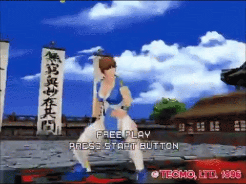 Dead Or Alive Japan GIF - Dead Or Alive Japan Ready GIFs