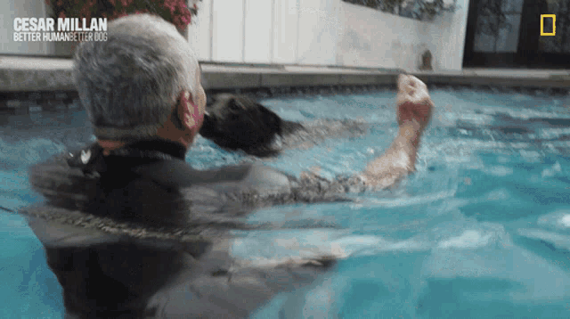 Come Here Cesar Millan GIF - Come Here Cesar Millan Cesar Millan Better Human Better Dog GIFs