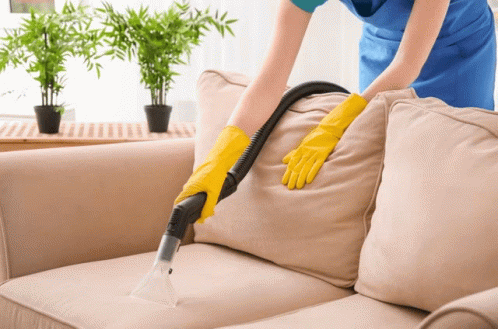 Upholstery Cleaner Carpet And Upholstery Cleaning In Evesham GIF