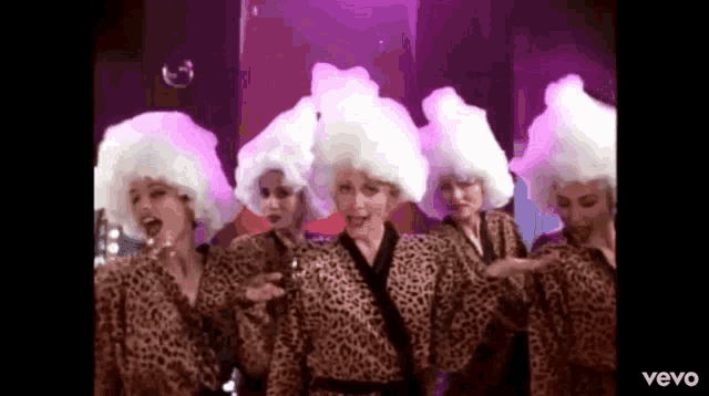 a group of women wearing leopard print kimonos and white wigs .