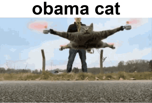 a cat is flying in the air with a man holding a drone