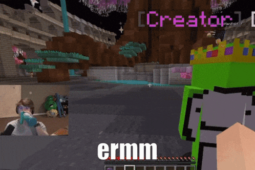 a screenshot of a video game with the word ermm on the screen