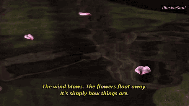 the wind blows the flowers float away simply how things are