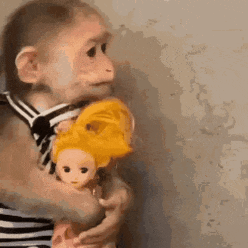 a baby monkey is holding a yellow doll in its arms .