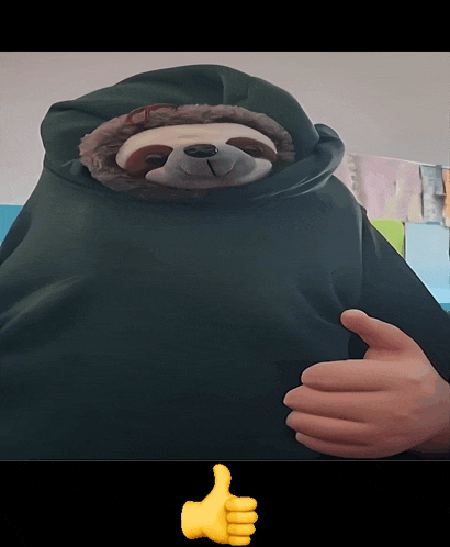 a stuffed sloth wearing a hoodie giving a thumbs up sign