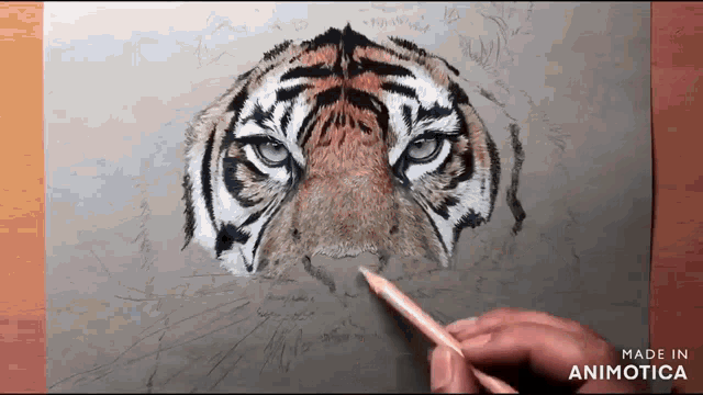 a person is drawing a tiger 's face with a pencil on a piece of paper