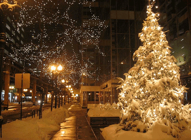 a snow covered christmas tree in front of a building