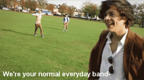 Onedirection Normalband GIF - Onedirection Normalband Funny GIFs