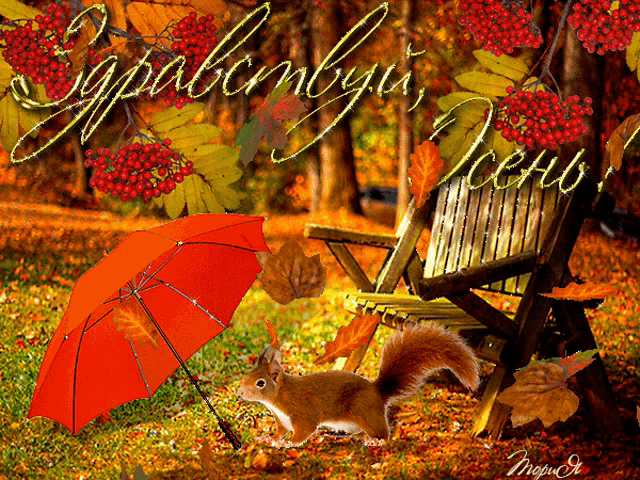 a squirrel is standing under an orange umbrella in front of a chair with the word autumn written on it