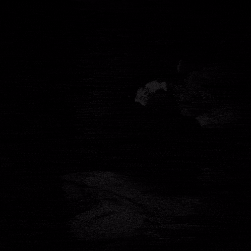 a black background with a cartoon eye and the words lets take a look