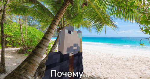 a minecraft character is standing on a beach with a palm tree in the background