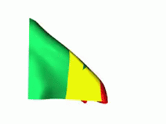 Senegal Flag GIF - Senegal GIFs