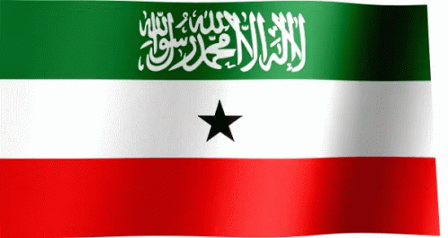 Somali Land Flag GIF - Somali Land Flag GIFs