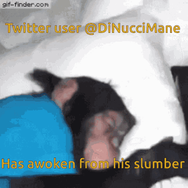 Twitter Thugs Dinuccimane GIF - Twitter Thugs Dinuccimane Andreedee GIFs