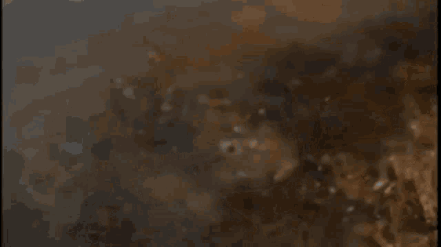 a close up of a splash of water with a brown background