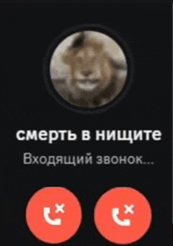 a phone screen shows a picture of a lion and the words " смерть в нищите "