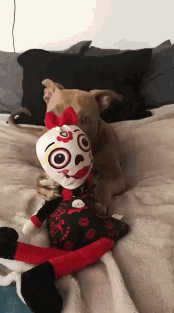 a dog playing with a day of the dead doll