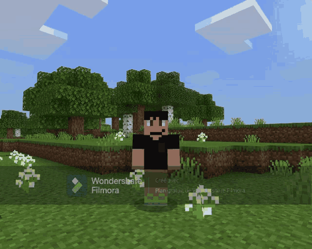 a man in a black shirt is standing in a minecraft game