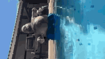 a man is sitting on the edge of a pool .