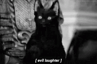 Salem Cat GIF - Salem Cat Evil Laughter GIFs