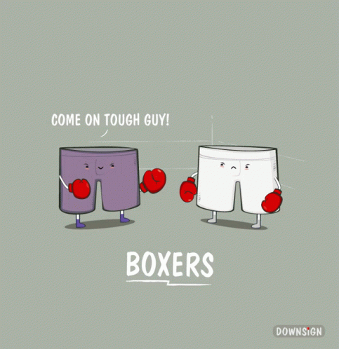 Downsign Boxers GIF - Downsign Boxers Fight GIFs