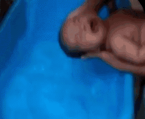 a baby is laying in a blue bathtub with its mouth open