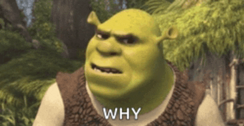 shrek from the movie shrek is looking at the camera and saying why .