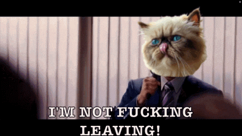 a man with a cat on his head says i 'm not leaving