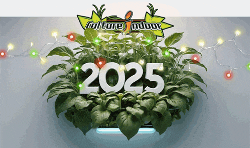 a poster for culture indoor shows a plant and the year 2025