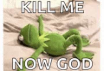 a kermit the frog is laying on its back on a bed with the words `` kill me now god '' .
