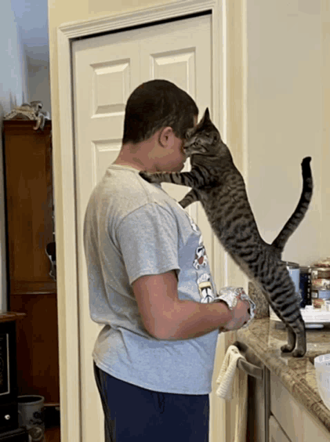 a cat standing on its hind legs looking at a boy 's face