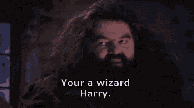 Harry Wizard GIF - Harry Wizard GIFs