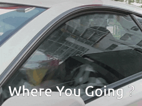 a white car with where you going written on the side