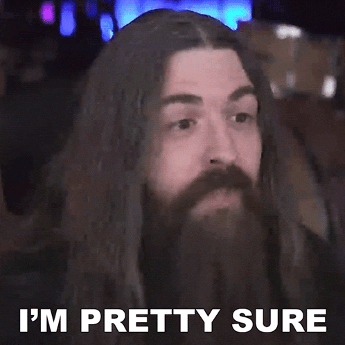 a man with long hair and a beard has the words i 'm pretty sure below him