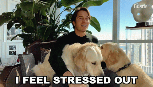 I Feel Stressed Out Bustle GIF - I Feel Stressed Out Bustle Struggling GIFs