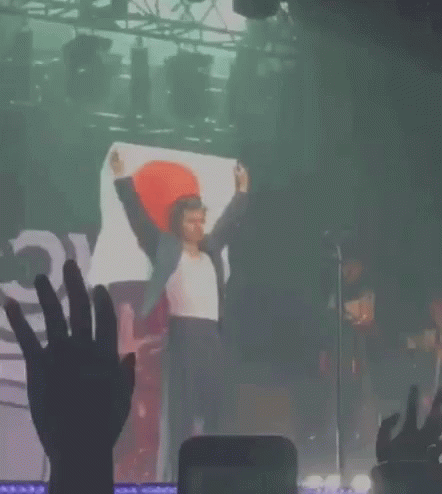 Harry Styles Hot GIF - Harry Styles Hot Concert GIFs