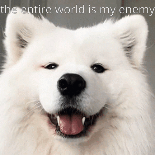 Dog Samoyed GIF - Dog Samoyed World GIFs