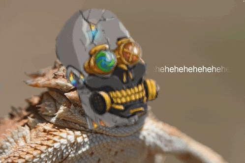 Onkykings Royalswap GIF